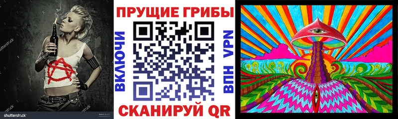 где купить наркоту  Карачаевск  Псилоцибиновые грибы мицелий 
